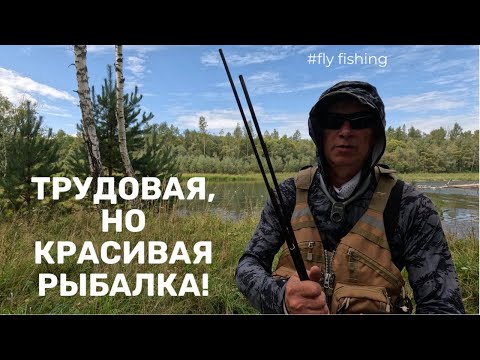 Видео: ОЯ. Новые места. Рыбка есть! [4K]