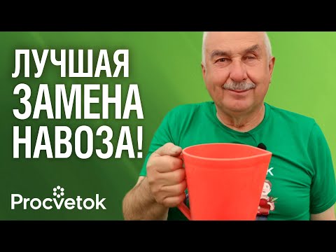 Видео: ЗАМЕНИТ ГОРУ НАВОЗА И ПРЕВРАТИТ ЗЕМЛЮ В ЧЕРНОЗЕМ! Вот что внести с осени в грядки вместо навоза