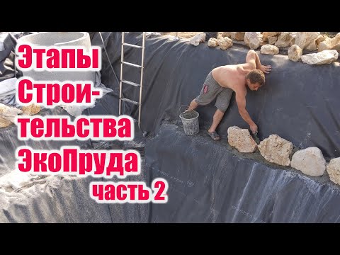 Видео: Этапы строительства экопруда часть2