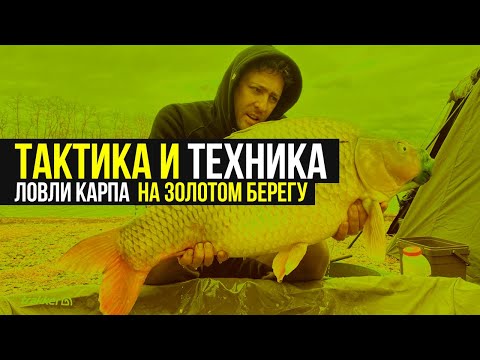 Видео: Советы по технике и тактике ловли карпа на водоёме ЗОЛОТОЙ БЕРЕГ 🏆 ИНТЕРВЬЮ / Часть 2