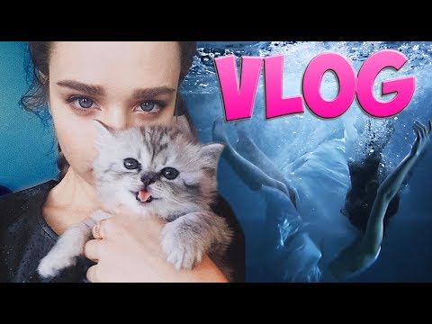 Видео: MW ♥ VLOG - ПОЕХАЛА В АМЕРИКУ!! НЕ УТОНУЛА В БАССЕЙНЕ  - Маша Вэй