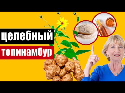 Видео: Чем полезен топинамбур: выбираем и готовим правильно