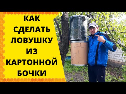 Видео: КАК СДЕЛАТЬ ЛОВУШКУ ДЛЯ РОЯ ИЗ КАРТОННОЙ БОЧКИ!