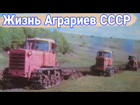 Видео: Жизнь аграриев в СССР. Как развивалось сельское хозяйство и сельхозтехника.