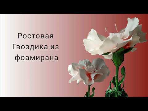 Видео: Самая дешёвая и лёгкая ростовая Гвоздика