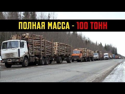 Видео: ПЕРЕГРУЗ В 50 ТОНН! СЧИТАЮТ ЛИ РАМКИ ПОЛНУЮ МАССУ?