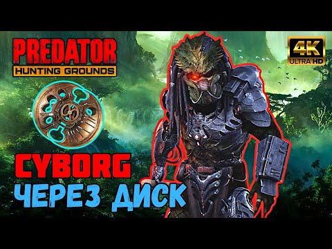 Видео: Predator Hunting Grounds ➤ CYBORG Киборг через диск ➤ ОХОТА #173 #predator