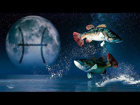 Видео: Гороскоп совместимости - Рыбы