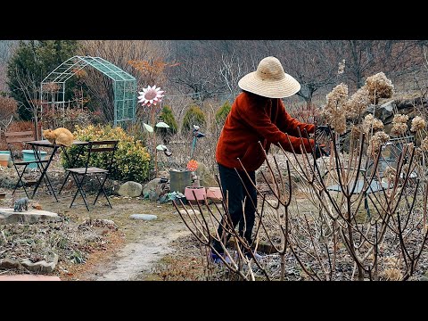 Видео: В горы Кореи пришла весна с переменчивой погодой~!!