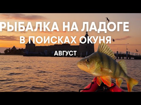 Видео: Рыбалка с лодки на Ладожском озере/НАШЛИ МНОГО ОКУНЯ/Август2025