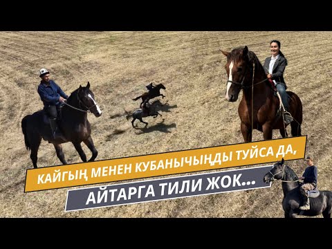 Видео: Кайгың менен кубанычыңды туйса да, айтарга тили жок... | "ЭЛЕТТЕ" берүүсү