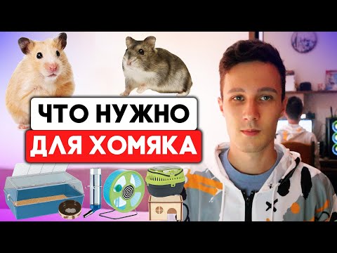 Видео: Что нужно купить для хомяка (сирийского и джунгарского)?