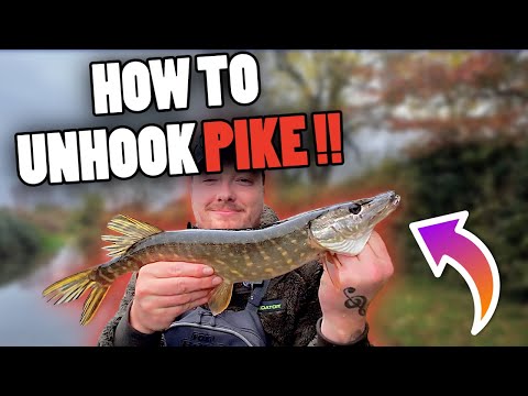 Видео: Руководство для начинающих по снятию щуки с крючка!!!