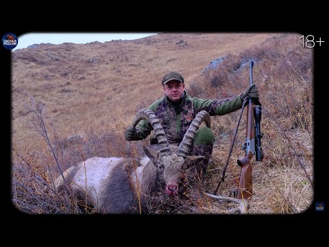 Видео: Добыть трофейного КОЗЕРОГА. Опасная горная охота.