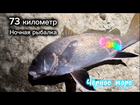 Видео: Разведка, 73 киллометр. Ночная рыбалка на Черном море. #ночнаярыбалка #черноеморе #рыбалка #сочи