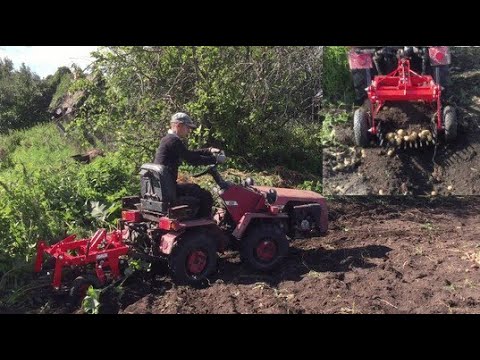 Видео: Картофелекопалка картофель копает!
