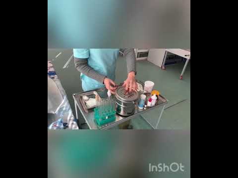 Видео: Тақырыбы: Бактериологиялық зерттеуге тікелей тік ішектен нәжісті алу. Оқытушы: Конирова С.К.