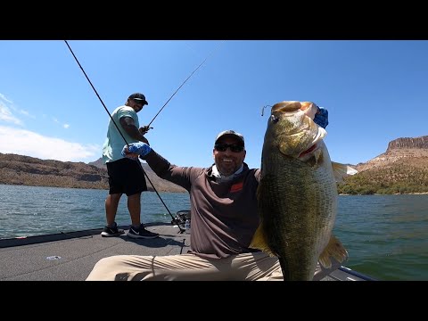 Видео: ГИГАНТСКИЙ БАС на Berkley Maxscent Flux-Gill
