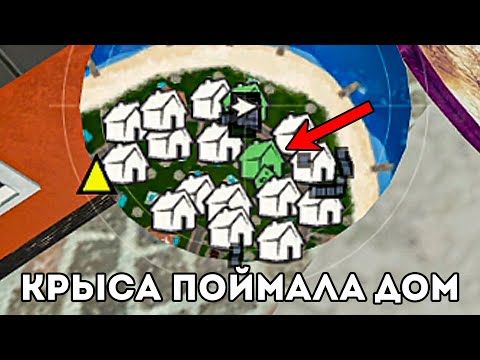 Видео: ПУТЬ БОМЖА #65 - КРЫСА ПОЙМАЛА ДОМ. НА РУБЛЕВКЕ. (RADMIR RP)