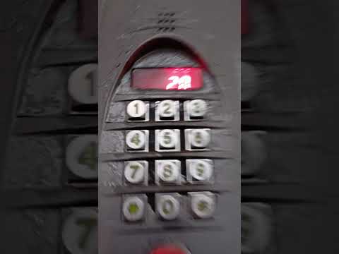 Видео: 19 октября 2025 г.