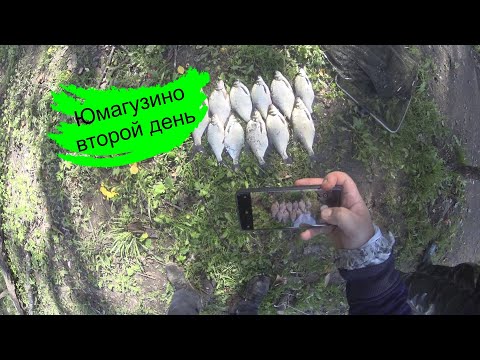 Видео: Второй день на Юмагузино