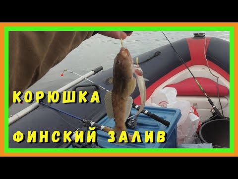 Видео: Рыбалка. Финский залив. Ловля корюшки с лодки.