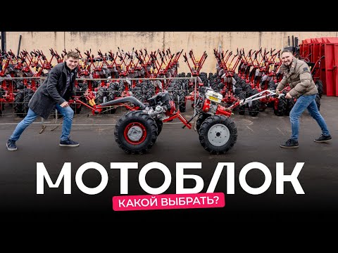 Видео: Какой мотоблок выбрать для дачи: «БЕЛАРУС», STORM или культиватор SKIPER?