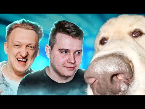 Видео: 13 МИНУТ ПЫТАЕМСЯ БЫТЬ АДЕКВАТНЫМИ С ВАРПАЧОМ - Реакция