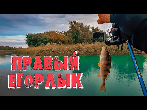 Видео: Окунь на ВОБЛЕРЫ и мормышку на канале ПРАВЫЙ ЕГОРЛЫК