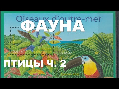 Видео: Фауна. Птицы ч. 2