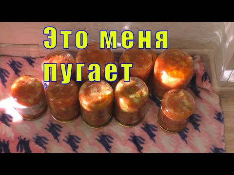 Видео: ГОРЯЧИЙ ЦЕХ ДОМА /МЕНЯ ЭТО НАЧИНАЕТ ПУГАТЬ/ 10 августа 2023