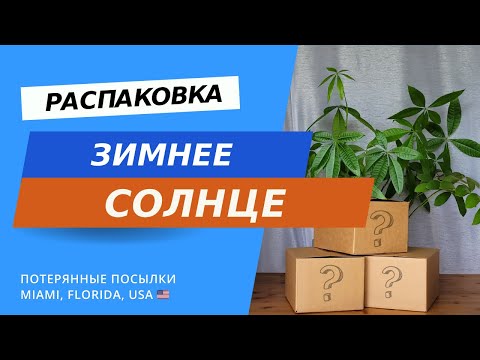 Видео: Распаковка! Потерянные посылки и обзор находок в США, Флорида.