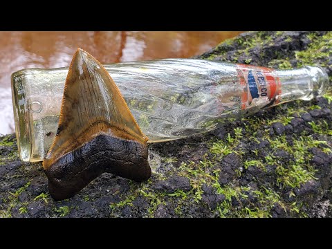 Видео: ЛУЧШИЙ МЕГАЛОДОН, КОГДА-ЛИБО НАЙДЕННЫЙ (МНОЙ) - ПИС-РИВЕР