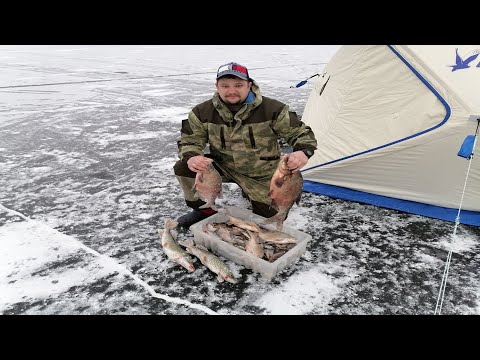 Видео: НАКОНЕЦ СВЕРШИЛОСЬ ОТКРЫТИЕ ЗИМНЕЙ РЫБАЛКИ .РЫБАЛКА С ПАЛАТКОЙ В КОМФОРТЕ