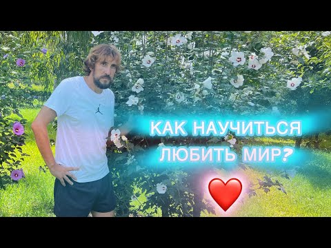 Видео: Как научиться любить мир?