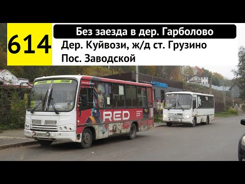 Видео: Автобус 614 "Дер. Куйвози, ж/д ст. "Грузино" - пос. Заводской" (без заезда в дер. Гарболово)