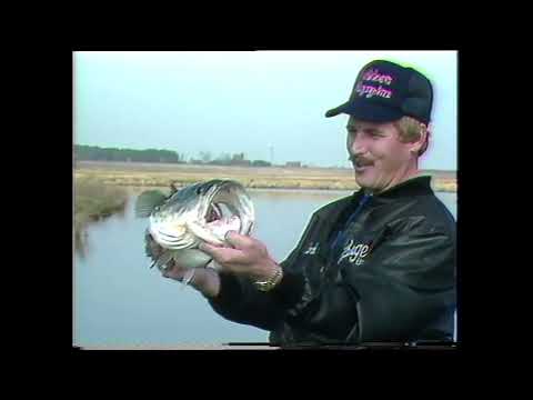 Видео: Это был ГИГАНТСКИЙ БАС в 1985 году! Вспоминаем четверг!