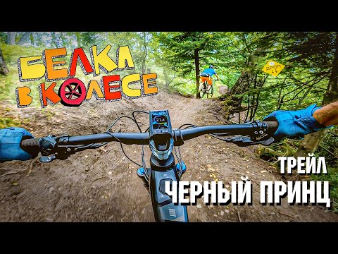 Видео: трейл Черный принц | Белка в колесе | Алтай