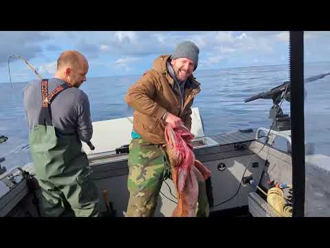 Видео: Westport 2 fishing 🐟 Рыбалка в открытом океане🤢😬🐳🤣👍