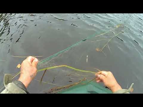 Видео: Блесним...и  проверяем  сеть...