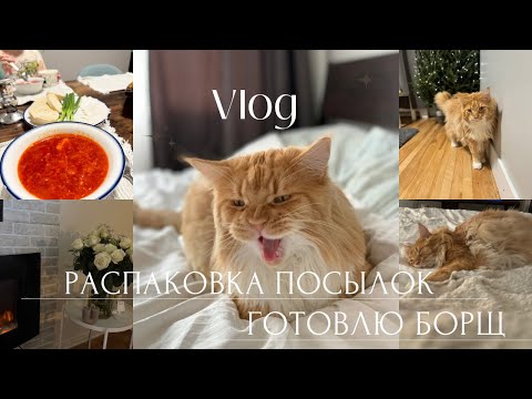 Видео: ОЧЕНЬ МНОГО ОСКАРА | распаковка посылок | готовлю борщ |