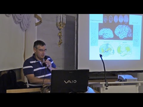 Видео: Вадим Ушаков - Нейроархитектуры головного мозга