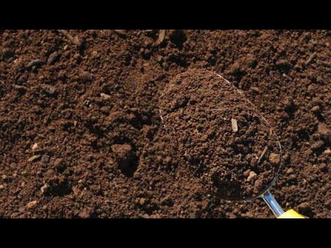 Видео: Влажность грунта. Важность понимания влажности грунта и ориентиры для полива