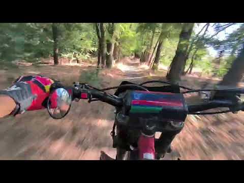 Видео: Через лес . Promax mx 280