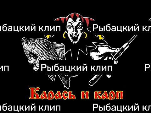Видео: Карась и карп - Рыбацкие ботинки (рыбацкий кавер на Король и шут - Забытые ботинки) - клип