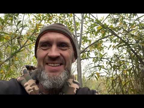 Видео: Ищем бобровые места уточек с охотили на похлёбку