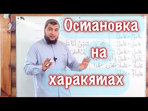 Видео: Урок № 36: Остановка на харакятах в необозначенных местах