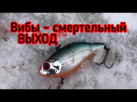 Видео: ВИБЫ - смертельный выход | Calibra 50 , IMA Koume 60 , BAY RUF 70, FINTAIL VIB 55
