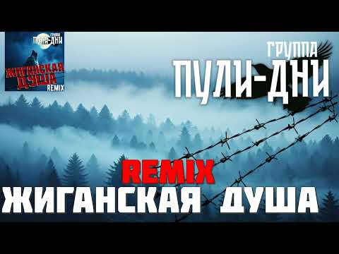 Видео: Группа Пули Дни   Жиганская Душа   +18 Remix