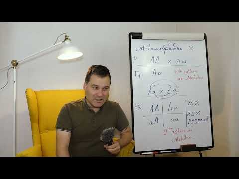 Видео: 10-ти клас. Урок №3. Монохибридно кръстосване.